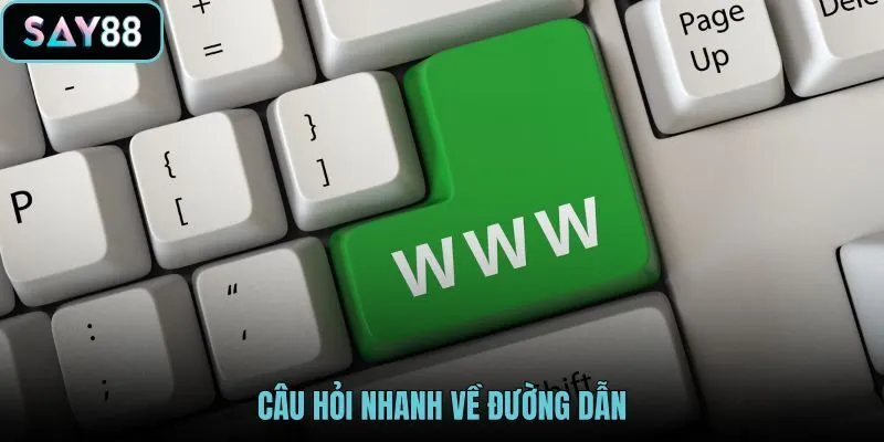 cau-hoi-nhanh-ve-duong-dan cau-hoi-nhanh-ve-duong-dan
